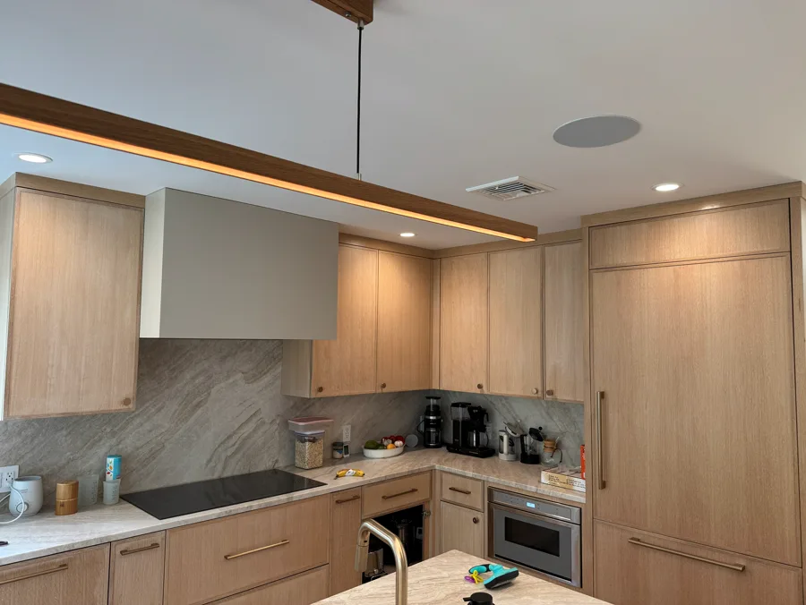 Wood kitchen cabinets with integrated appliance panels and tall storage